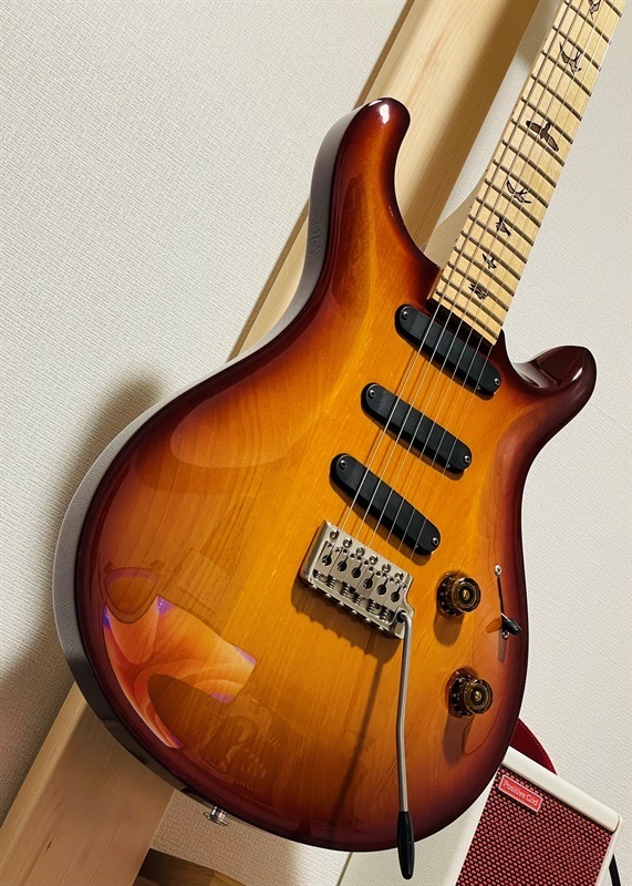 P.R.S. 305の画像